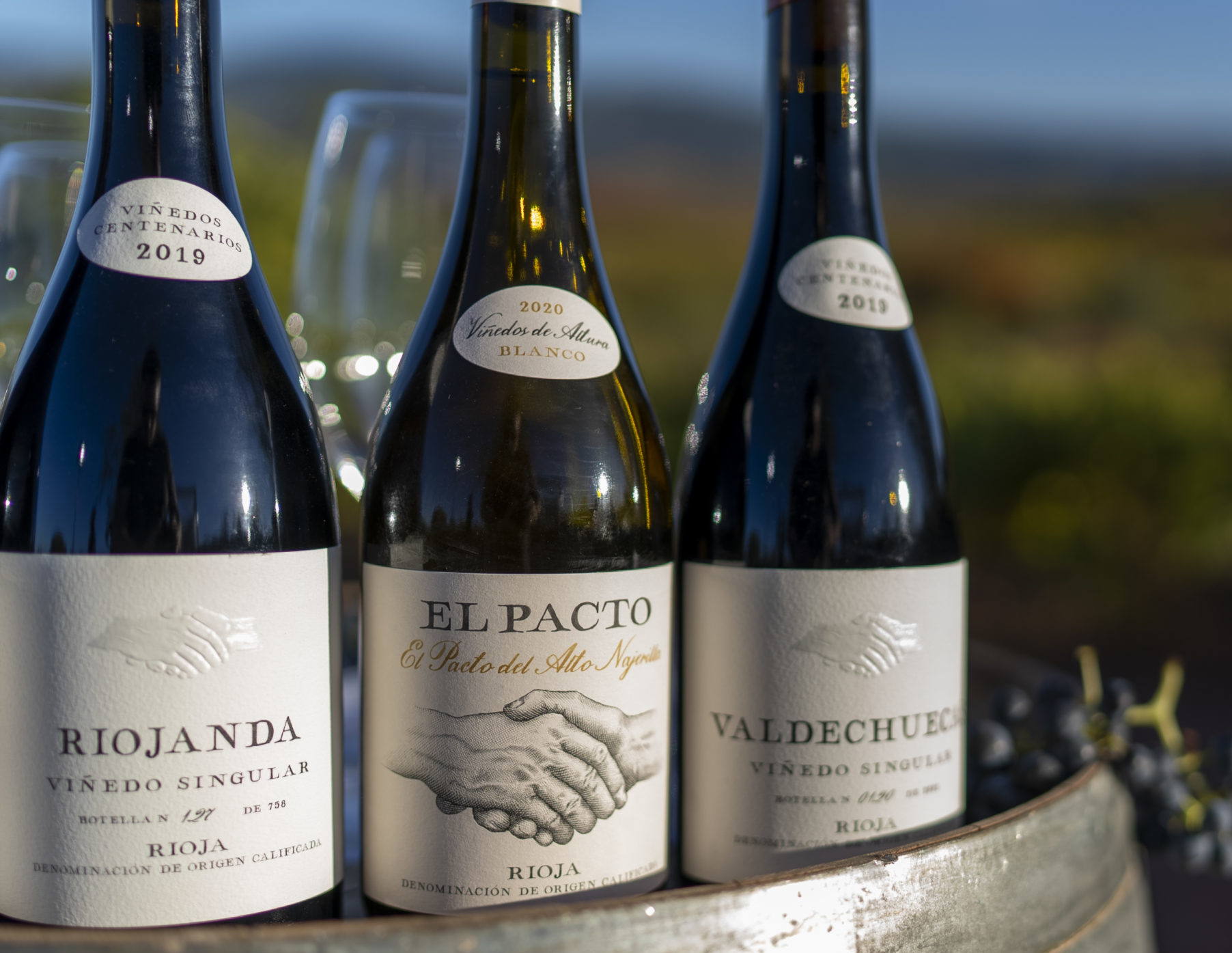 Viñedos El Pacto_Vintae